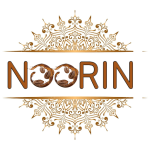 Noorin Logo